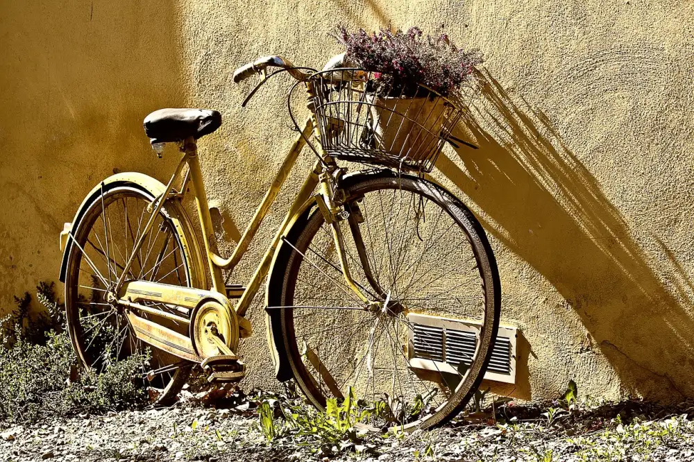 Pomona Bike